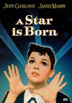 A Star Is Born DVD