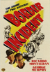 Border Incident DVD